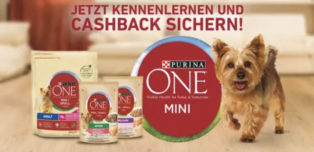 Weihnachtsmann mieten in Magdeburg – mal anders!